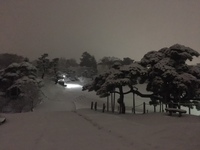 4年振り　大雪