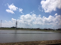 晴れ 風 雨