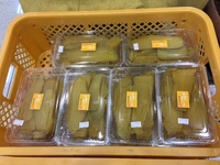 お待たせしました！！