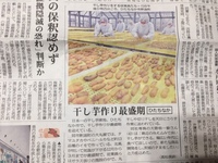 茨城新聞　掲載