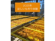 ほしいも作り体験　開催！！　2025年