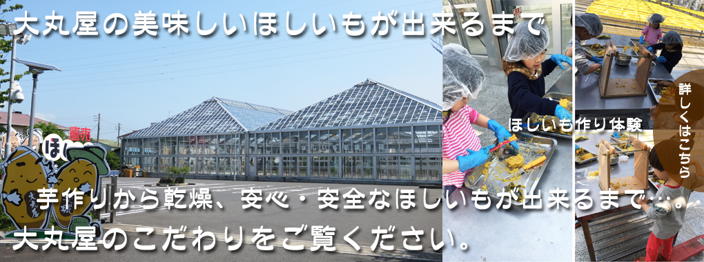 大丸屋の美味しいほしいもが出来るまで　芋づくりから乾燥、安心・安全なほしいもが出来るまで…。大丸屋のこだわりをご覧ください。