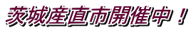 茨城産直市開催中!