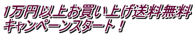 1万円以上お買い上げ送料無料 キャンペーンスタート!