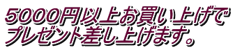5000円以上お買い上げで プレゼント差し上げます。