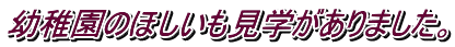 幼稚園のほしいも見学がありました。