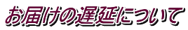 お届けの遅延について