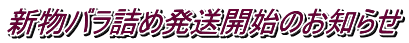 新物バラ詰め発送開始のお知らせ