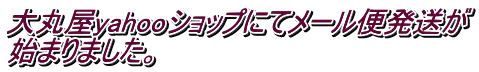 大丸屋yahooショップにてメール便発送が 始まりました。
