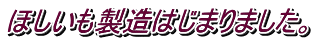 ほしいも製造はじまりました。