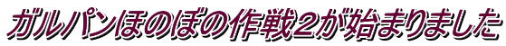 ガルパンほのぼの作戦2が始まりました