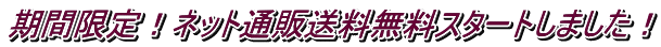 期間限定!ネット通販送料無料スタートしました!
