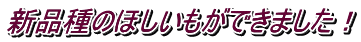 新品種のほしいもができました!