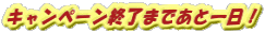キャンペーン終了まであと一日!